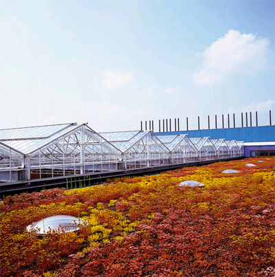 Institute for Forestry and Nature Research, Holland